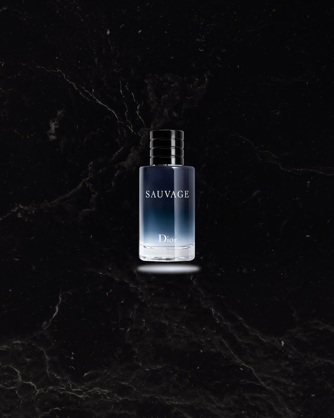 PROVEEDORES PERFUMES (4 proveedores)